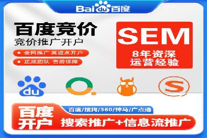 SEM外包策略在电商平台的成功案例